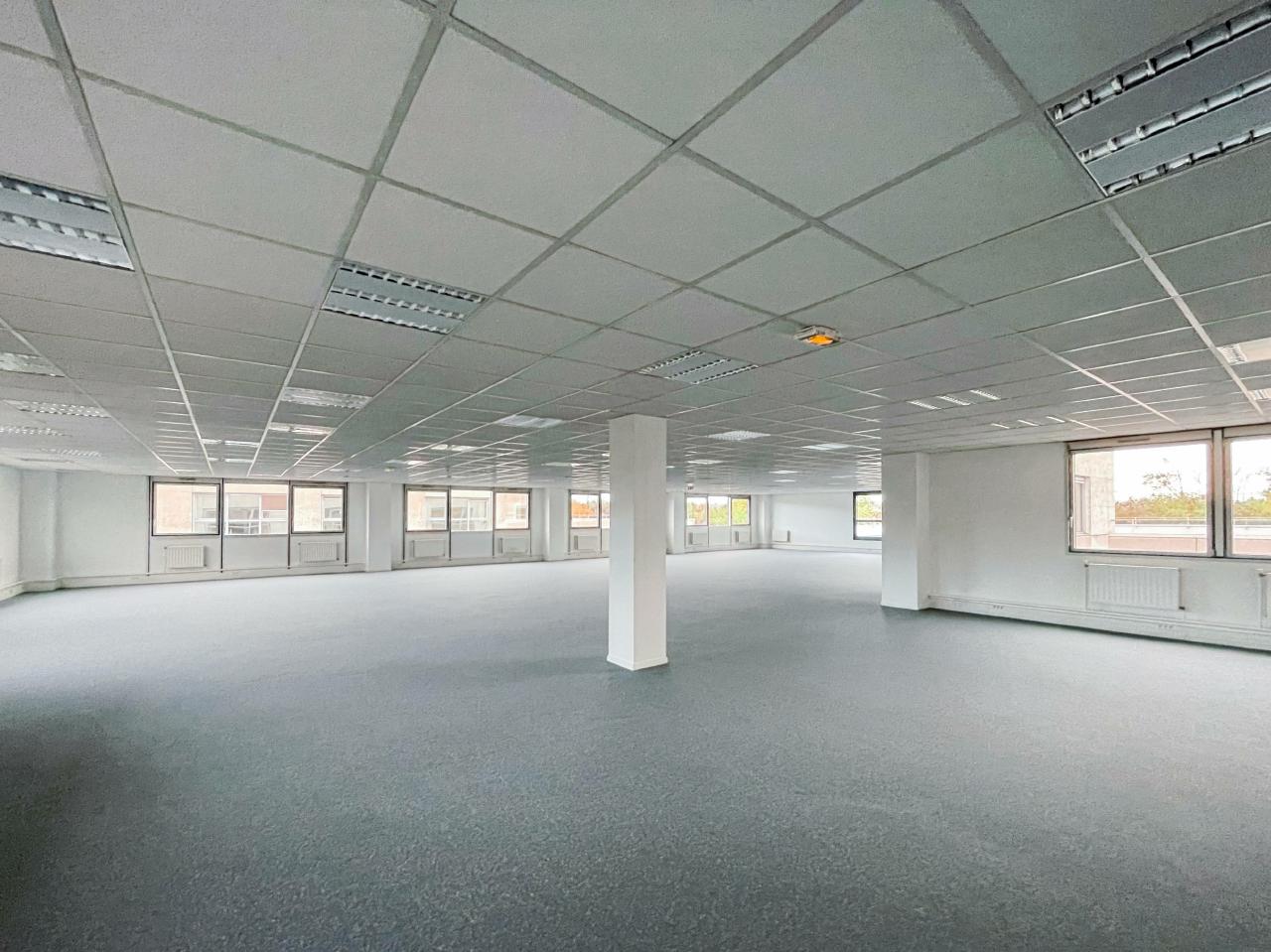 Bureau Fontenay-sous-Bois 299m² Location bureau Fontenay-sous-Bois Val-de-Marne OLBUR2107009 6